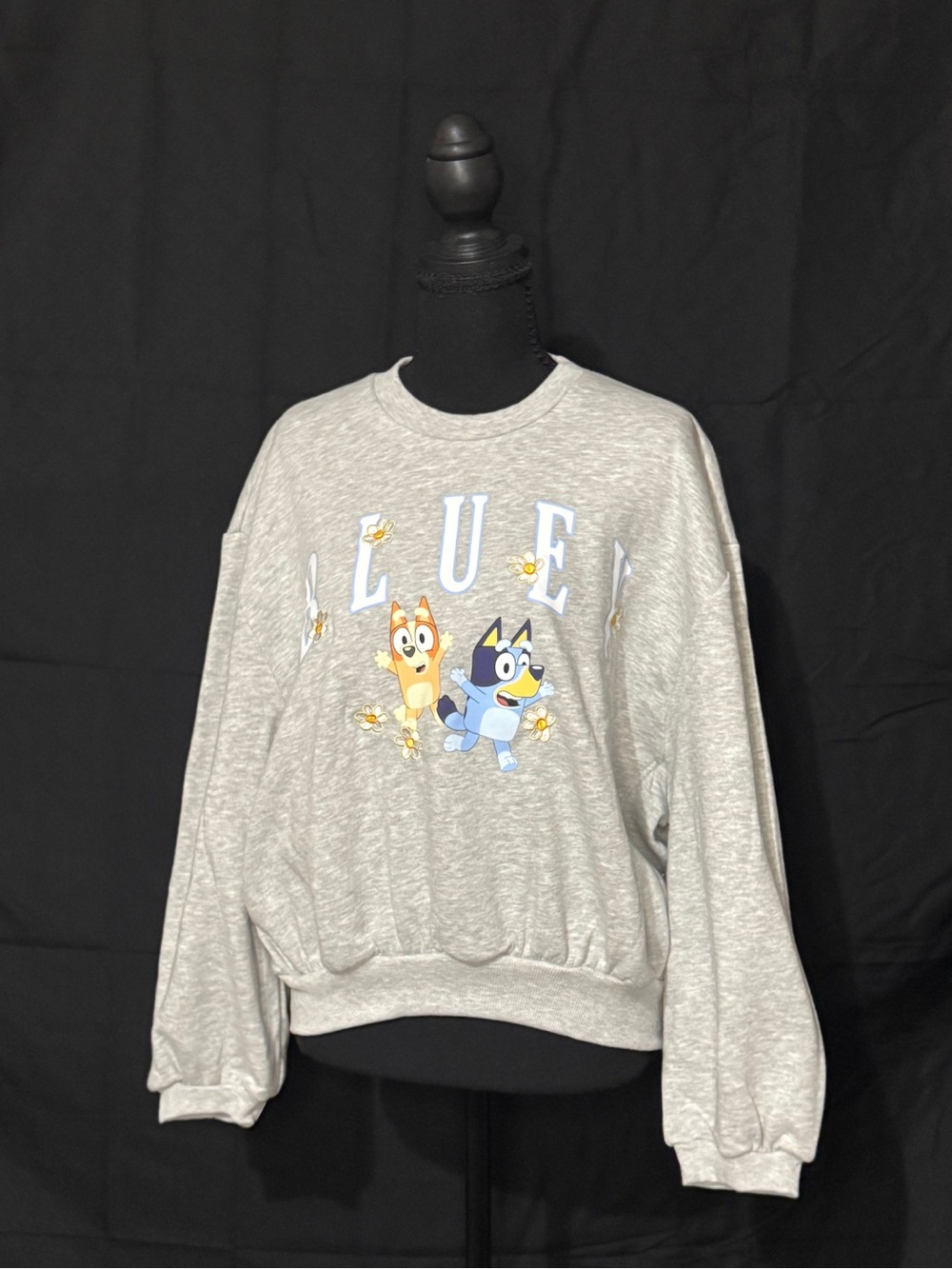 NWT Bluey & Bingo Daisy Floral Graphic Crewneck Sweatshirt Heather Grey Women S